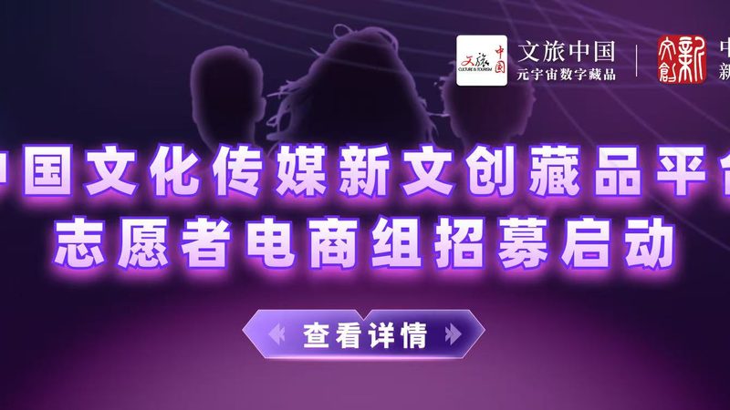 揭秘北京纪录片制作公司排名背后的秘密